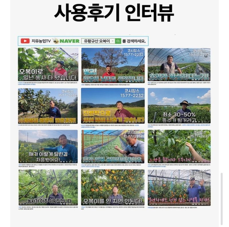 대산농사대장님의 장터 판매 상품 [오복이 플러스  20L 대용량  성분UP] 첨부 사진