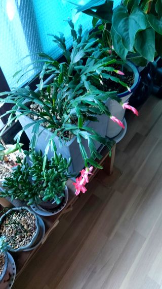 권세민님의 자유주제 · 자유게시판 작성글 사진