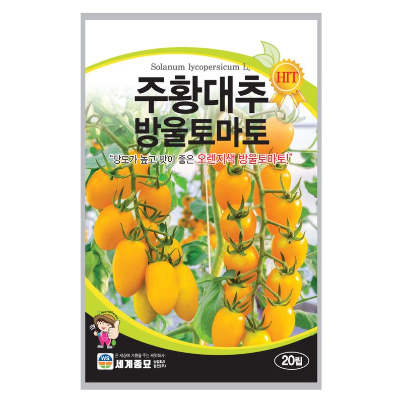 장터 상품 [[세계종묘] 주황 대추방울토마토 30립] 썸네일