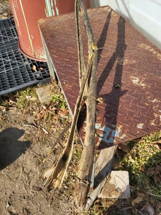 정수산님의 자유주제 · 자유게시판 작성글 사진