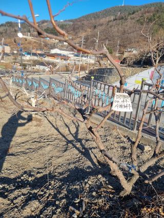 김용대님의 자유주제 · 자유게시판 작성글 사진