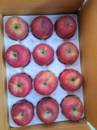 박수정님의 작성글 사진