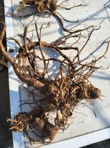 팜모닝 자유주제·자유게시판 게시글 이미지