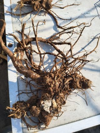 정수산님의 자유주제 · 자유게시판 작성글 사진