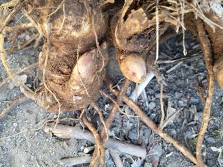 정수산님의 자유주제 · 자유게시판 작성글 사진