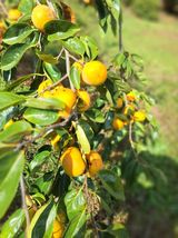 팜모닝 농업재해보험 품목 확대, 찬성 vs 반대·참여글 게시글 이미지