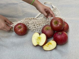 박수정님의 작성글 사진