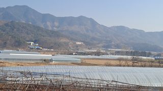 MSG0074님의 자유주제 · 자유게시판 작성글 사진