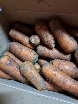 좋은인연원님의 자유주제 · 칭찬해요 작성글 사진