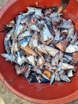 차재경님의 자유주제 · 자유게시판 작성글 사진