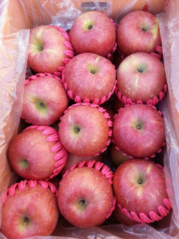 박수정님의 장터 판매 상품 [청송사과선물용4.5키로] 첨부 사진