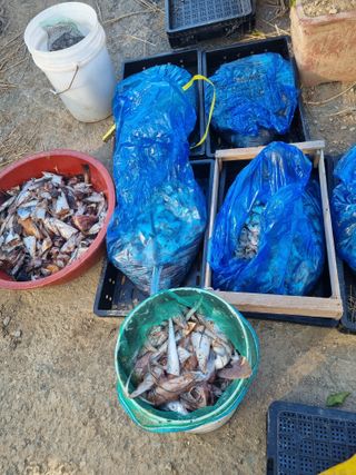 차재경님의 자유주제 · 자유게시판 작성글 사진