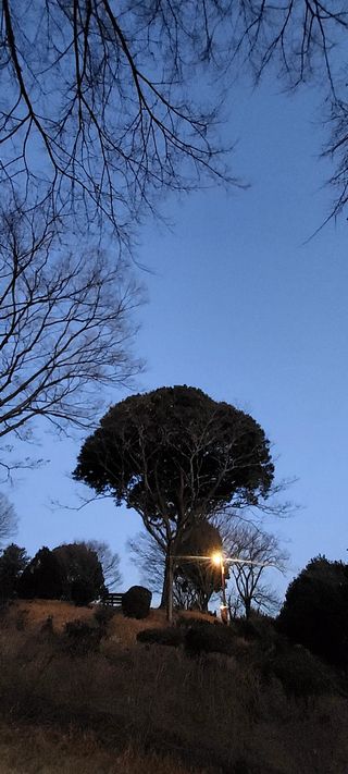 안재성님의 자유주제 · 사진전 작성글 사진