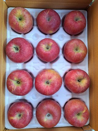 박수정님의 작성글 사진