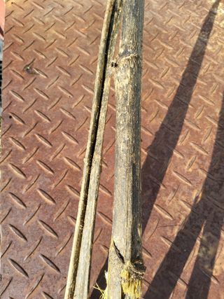 정수산님의 자유주제 · 자유게시판 작성글 사진