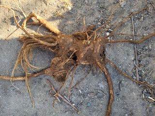 정수산님의 자유주제 · 자유게시판 작성글 사진