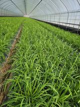 팜모닝 농업재해보험 품목 확대, 찬성 vs 반대·참여글 게시글 이미지