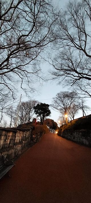 안재성님의 자유주제 · 사진전 작성글 사진