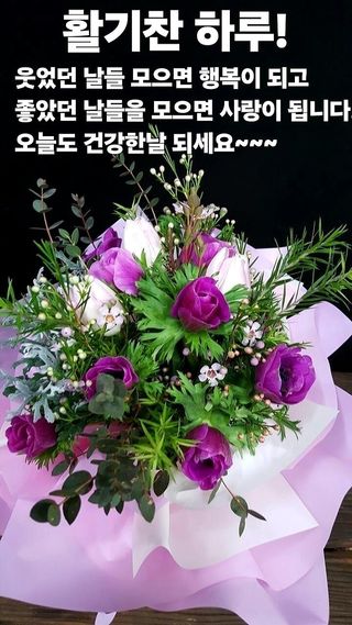 MSG0074님의 자유주제 · 자유게시판 작성글 사진