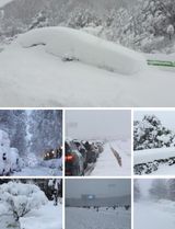 팜모닝 농업재해보험 품목 확대, 찬성 vs 반대·참여글 게시글 이미지