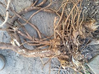 정수산님의 자유주제 · 자유게시판 작성글 사진