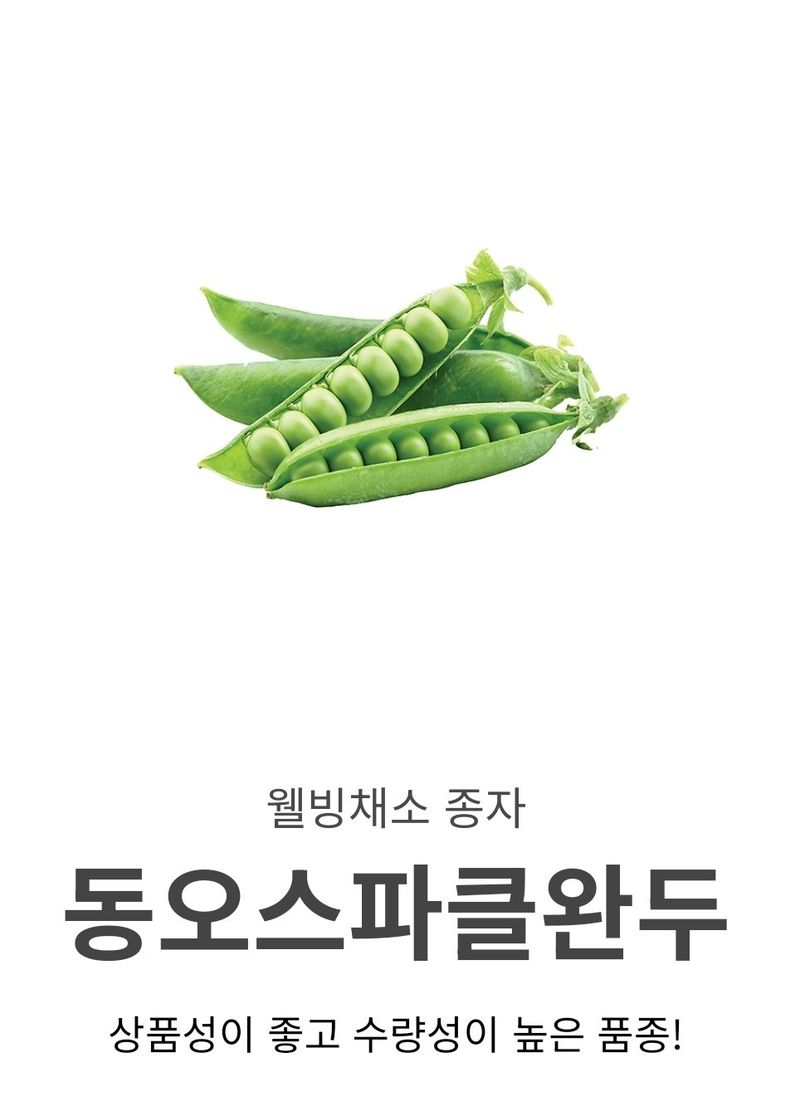 대산농사대장님의 장터 판매 상품 [스파크 완두콩 대용량 500g 동오시드] 첨부 사진