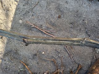 정수산님의 자유주제 · 자유게시판 작성글 사진