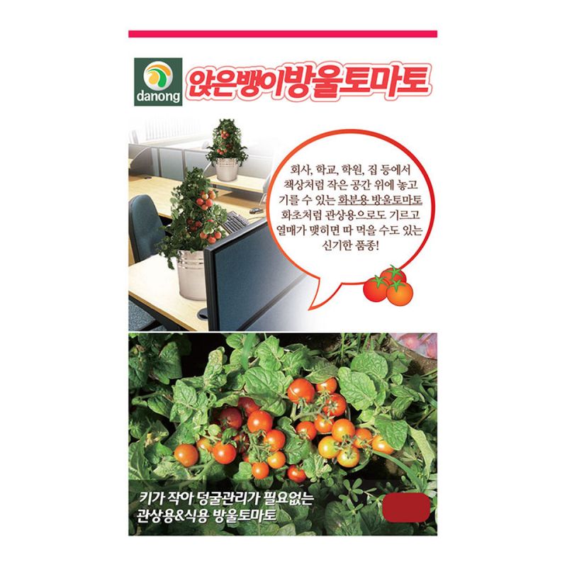 장터 상품 [[다농] 앉은뱅이방울토마토(빨강) 50립] 썸네일
