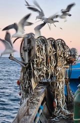 팜모닝 · 게시글 이미지