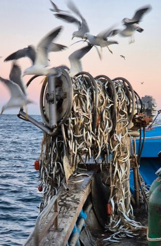 이재훈님의 작성글 사진