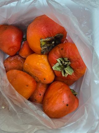 헤라여신^^♡님의 다가오는 대한, 농가의 혹한 대비 어떻게 하고 계신가요? · 참여글 작성글 사진