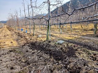 알 수 없음님의 자유주제 · 자유게시판 작성글 사진