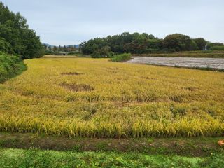 도시 농부님의 농업재해보험 품목 확대, 찬성 vs 반대 · 참여글 작성글 사진