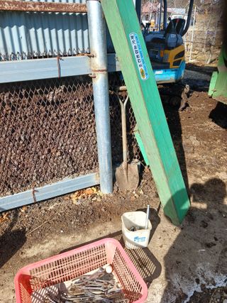 알 수 없음님의 자유주제 · 자유게시판 작성글 사진