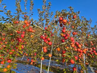 김복덕님의 농업재해보험 품목 확대, 찬성 vs 반대 · 참여글 작성글 사진