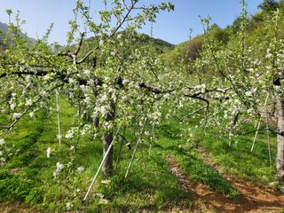 김복덕님의 농업재해보험 품목 확대, 찬성 vs 반대 · 참여글 작성글 사진