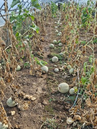 이정대님의 농업재해보험 품목 확대, 찬성 vs 반대 · 참여글 작성글 사진