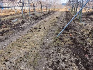 알 수 없음님의 자유주제 · 자유게시판 작성글 사진