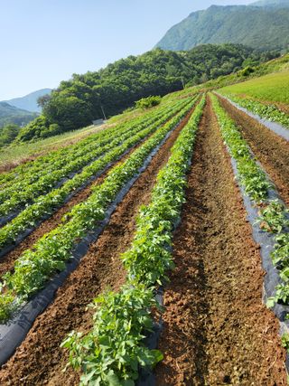김복덕님의 농업재해보험 품목 확대, 찬성 vs 반대 · 참여글 작성글 사진
