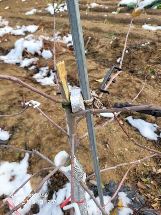 김성식님의 농업재해보험 품목 확대, 찬성 vs 반대 · 참여글 작성글 사진