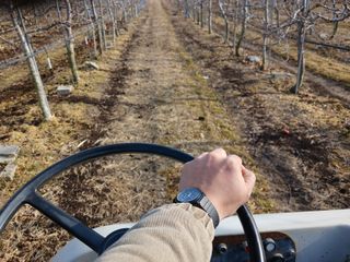 알 수 없음님의 자유주제 · 자유게시판 작성글 사진