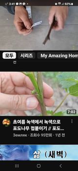 팜모닝 농업재해보험 품목 확대, 찬성 vs 반대·참여글 게시글 이미지