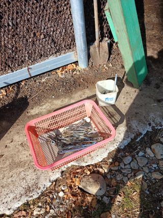 알 수 없음님의 자유주제 · 자유게시판 작성글 사진