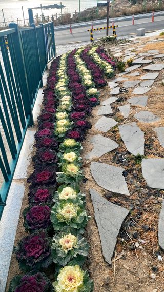 권세민님의 자유주제 · 자유게시판 작성글 사진