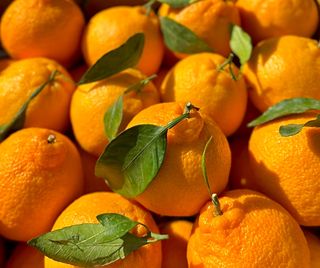 농부손녀님의 작성글 사진