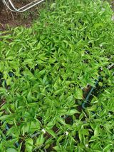 팜모닝 농업재해보험 품목 확대, 찬성 vs 반대·참여글 게시글 이미지