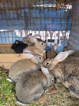 나는 나님의 자유주제 · 자유게시판 작성글 사진