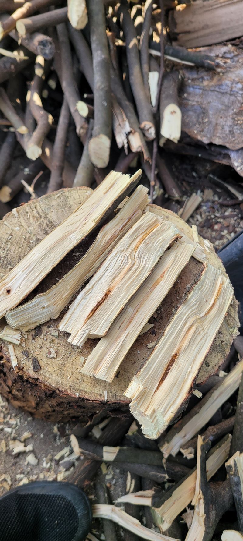 사랑꽃농장님의 장터 판매 상품 [50%헛개나무(차.백숙용) 3kg] 첨부 사진