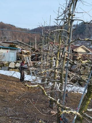 최용환 님의 자유주제 · 자유게시판 작성글 사진
