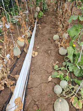 이정대님의 농업재해보험 품목 확대, 찬성 vs 반대 · 참여글 작성글 사진